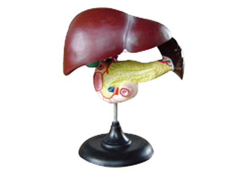 SD-093 33216ʮ֬cKģ